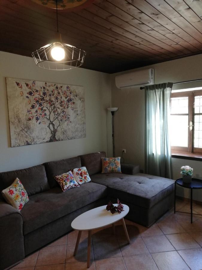 Endless View Country House Makrinitsa Exterior foto