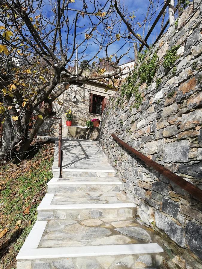 Endless View Country House Makrinitsa Exterior foto