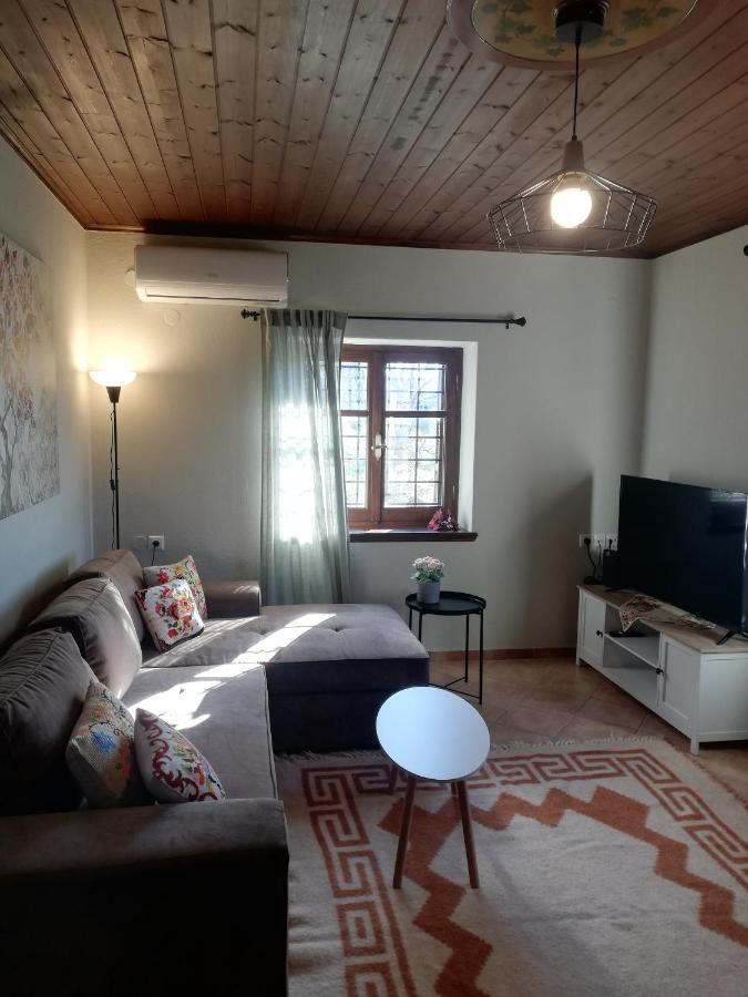 Endless View Country House Makrinitsa Exterior foto